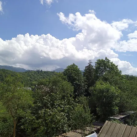 Tonka 309 زوبيريتس